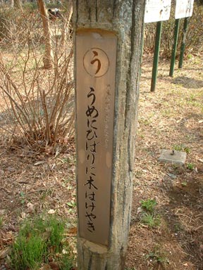 うめにひばりに木はけやき
