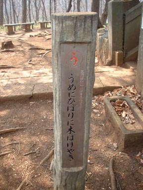 うめにひばりに木はけやき