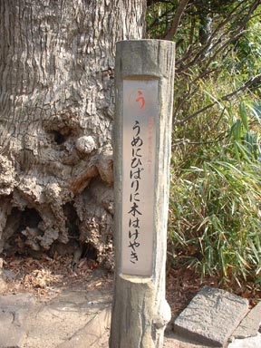 うめにひばりに木はけやき