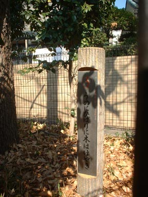 うめにひばりに木はけやき